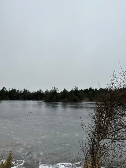 Årstidernes gang i kroppen: Vinter