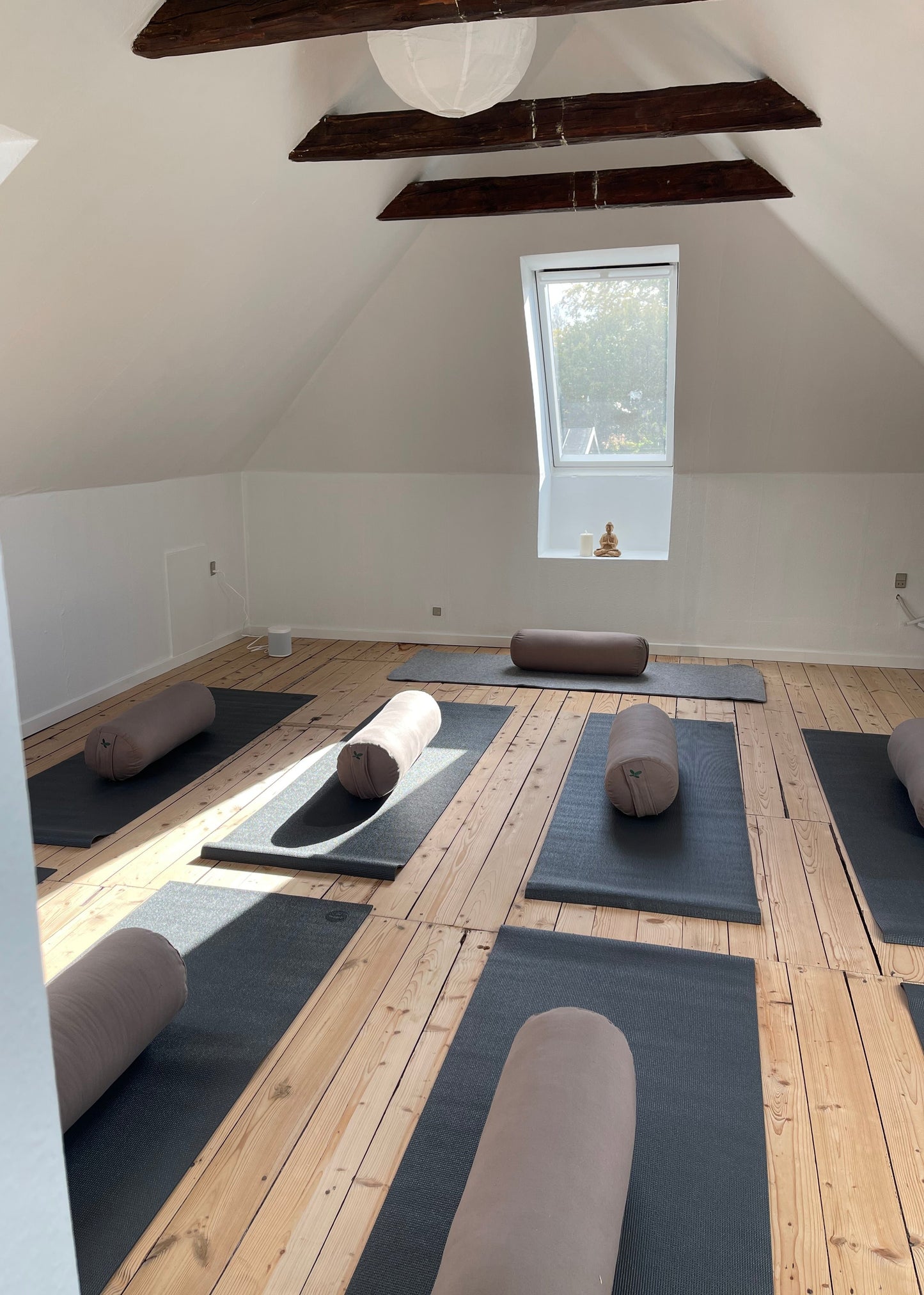 Meditation Session